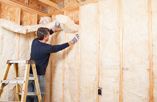 Best Wall Insulation Installation  in Hazelwood, MO